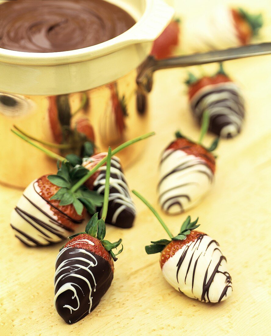 Erdbeeren mit hellem und dunklem Schokoladenüberzug
