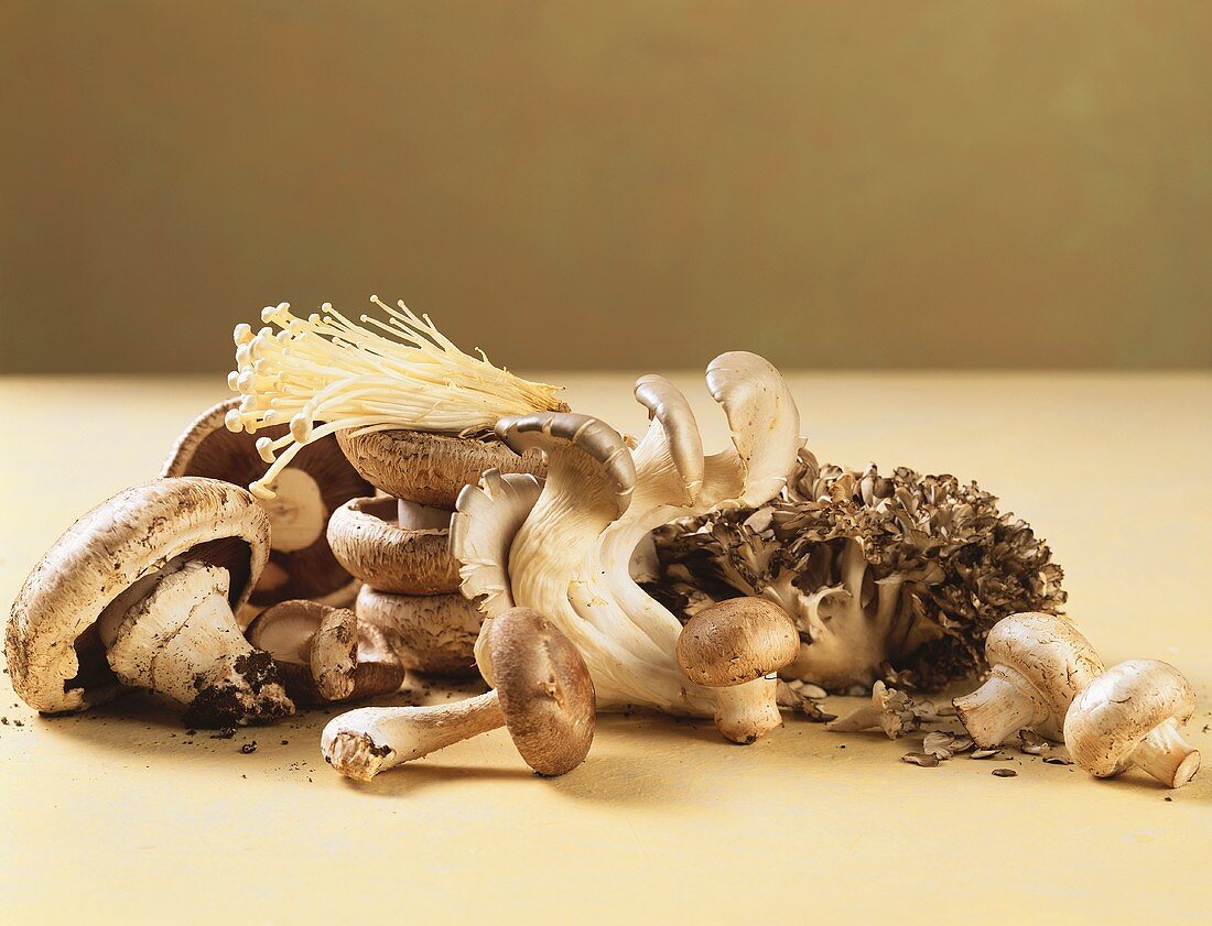 Still Life: Assorted Mushrooms