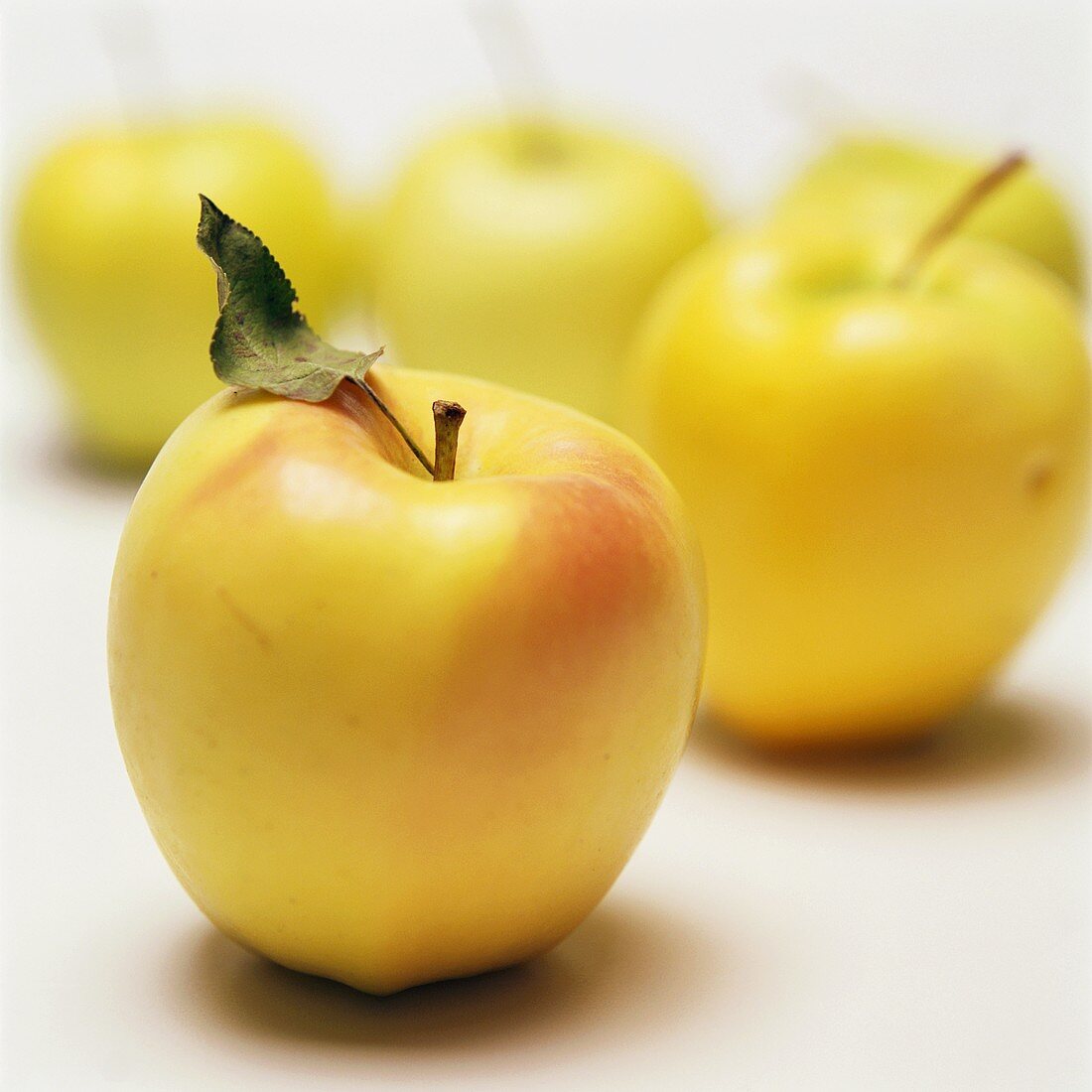 Golden Delicious Äpfel mit Blatt