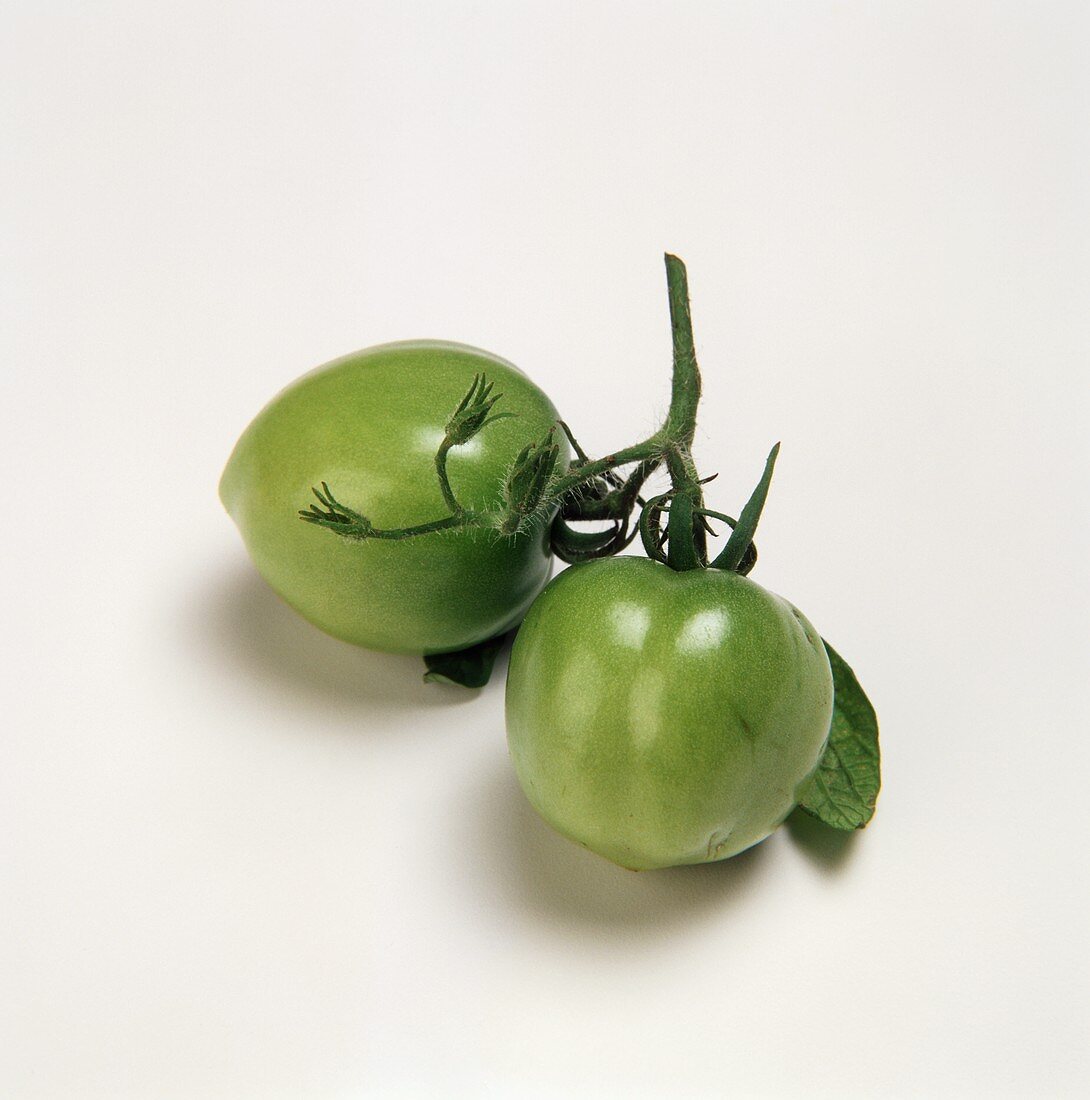Zwei grüne Tomaten