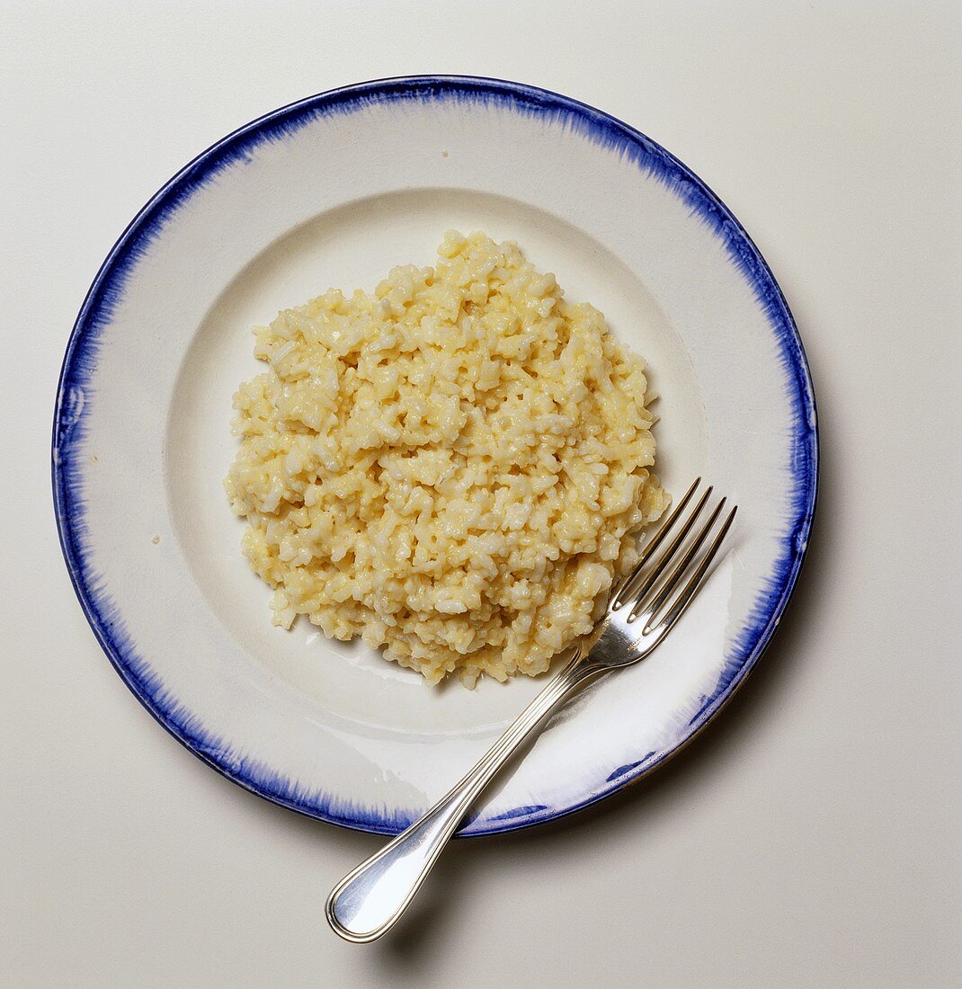 Plain Brown Rice on a Plate; Fork