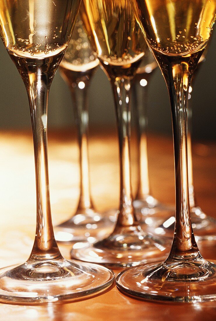 Stems of Several Champagne Glasses