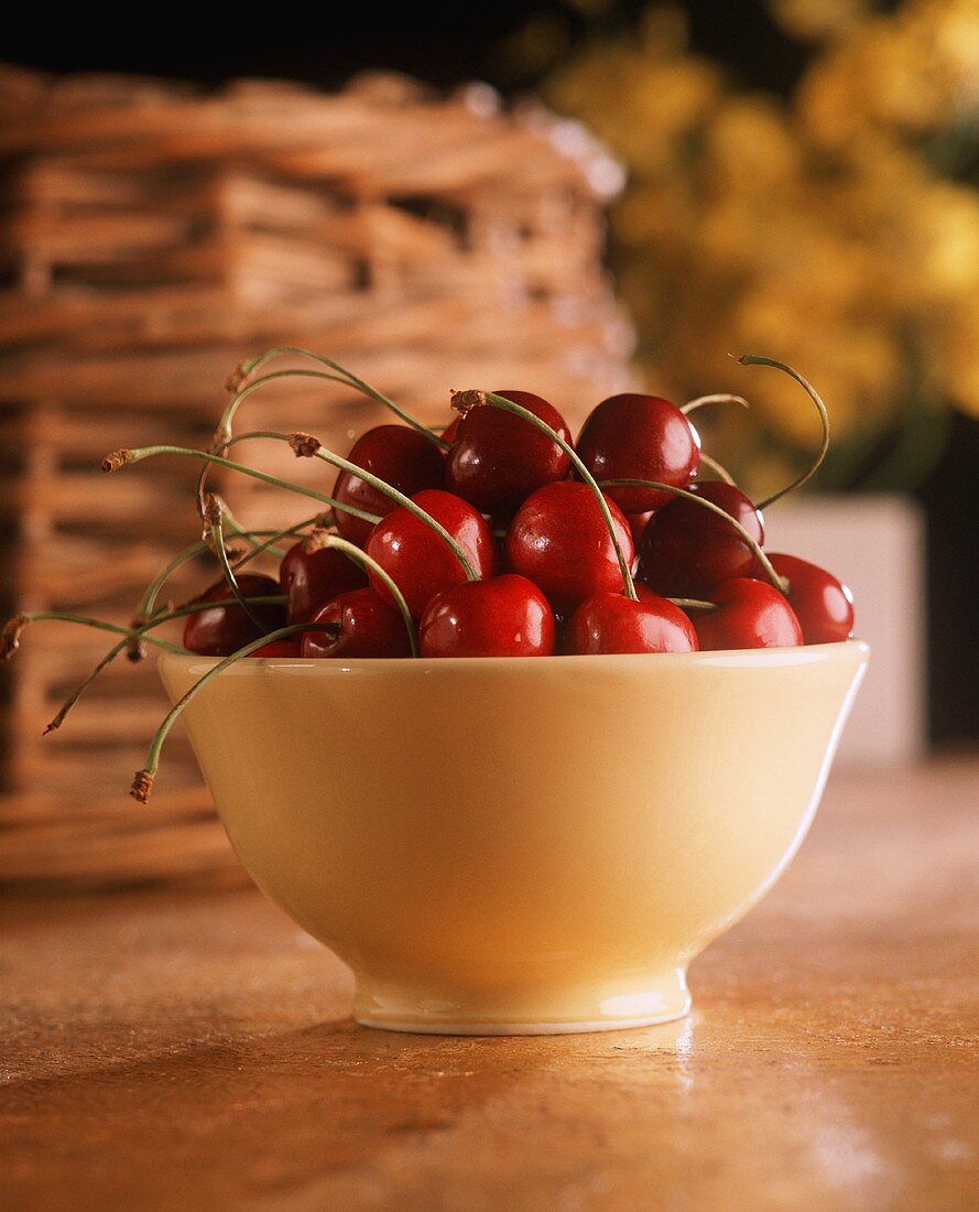 Bing Cherries in a Bowl