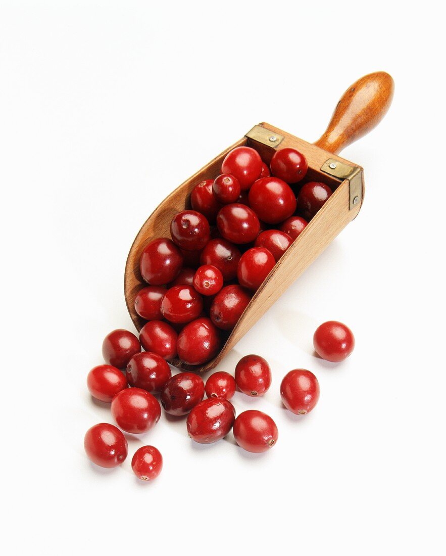 Cranberries auf einer Holzschaufel