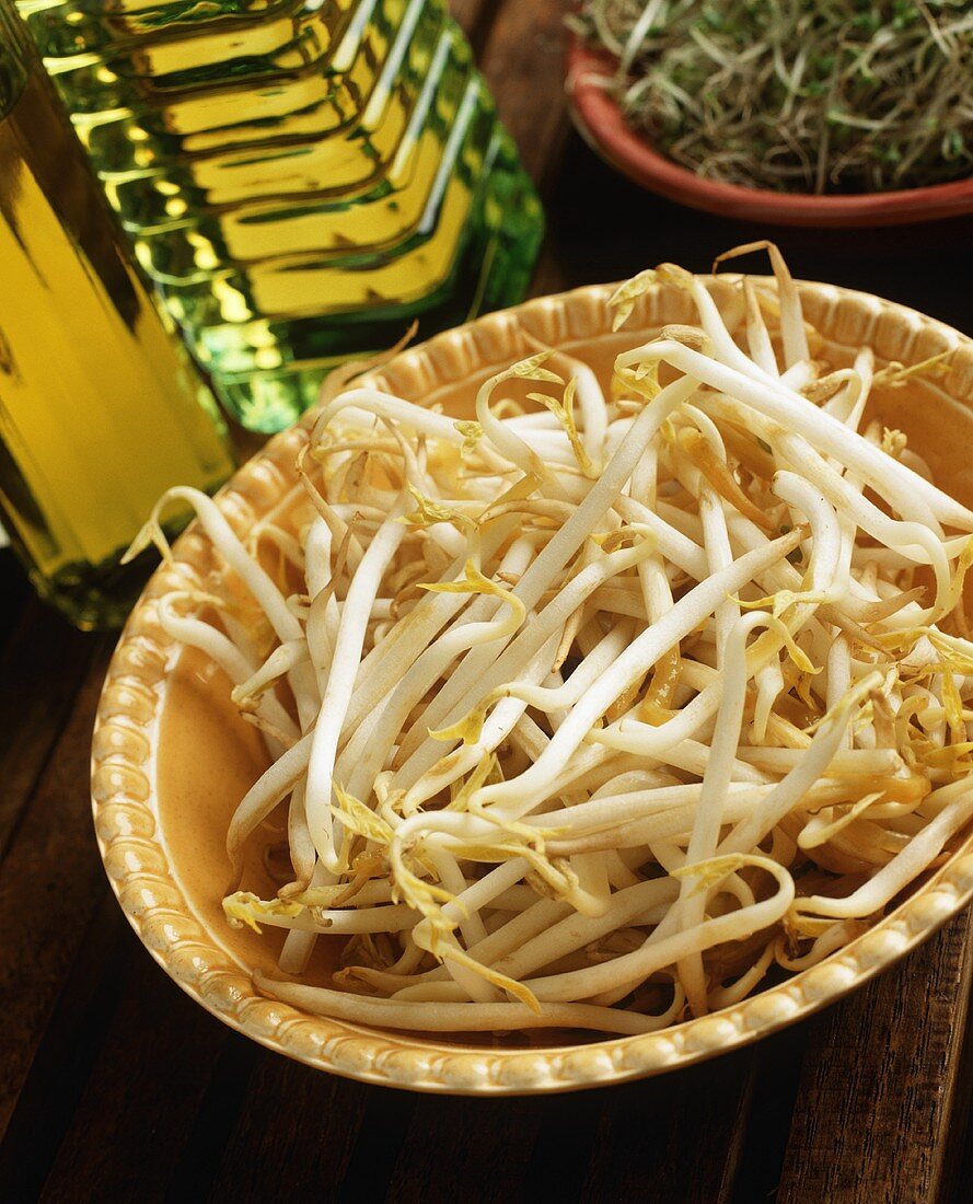 Mung Bean Sprouts in Bowl