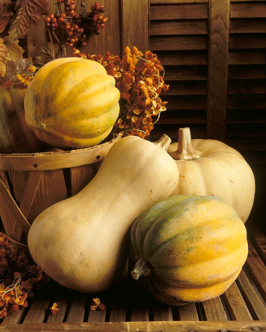 Assorted Squashes