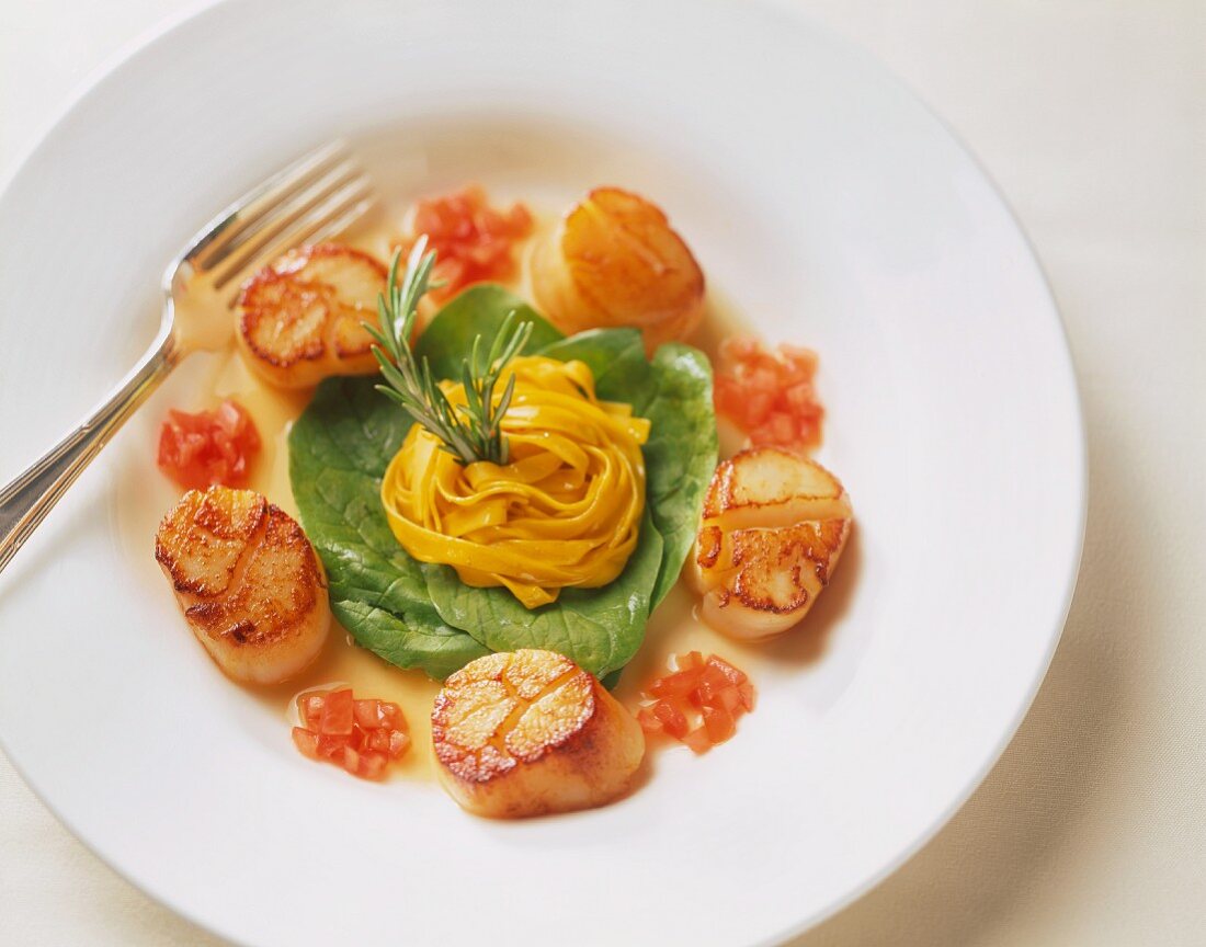 Jakobsmuscheln mit Tomaten, Spinat und Bandnudeln