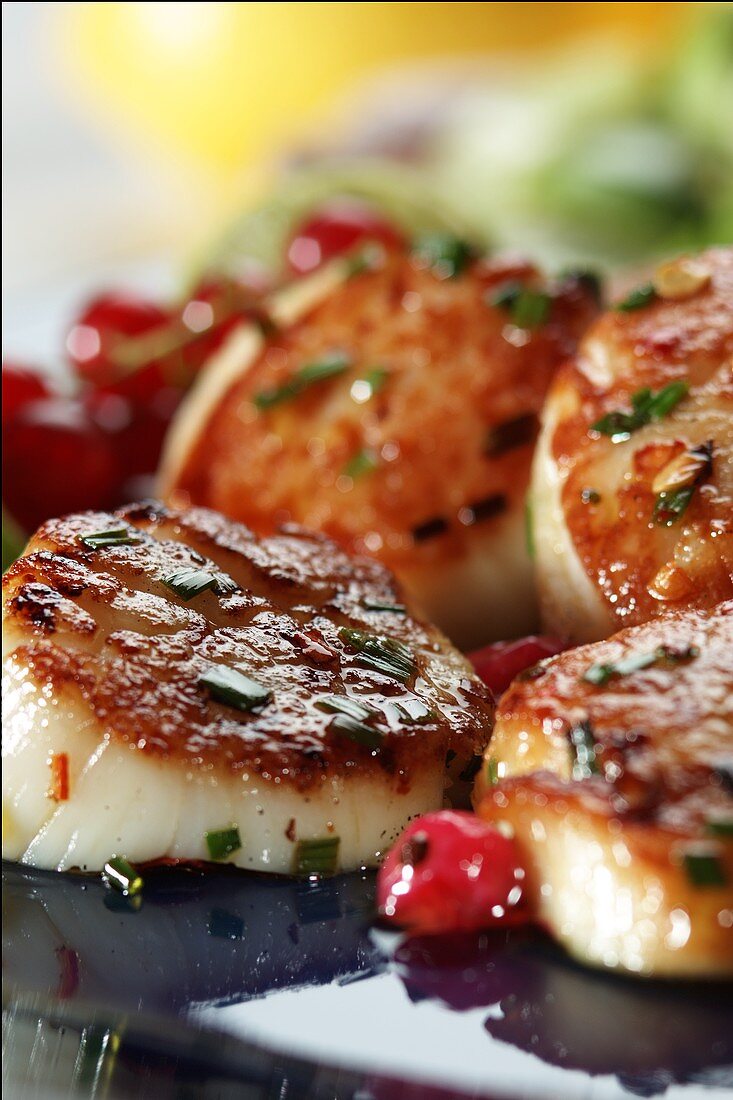 Sauteed Scallops