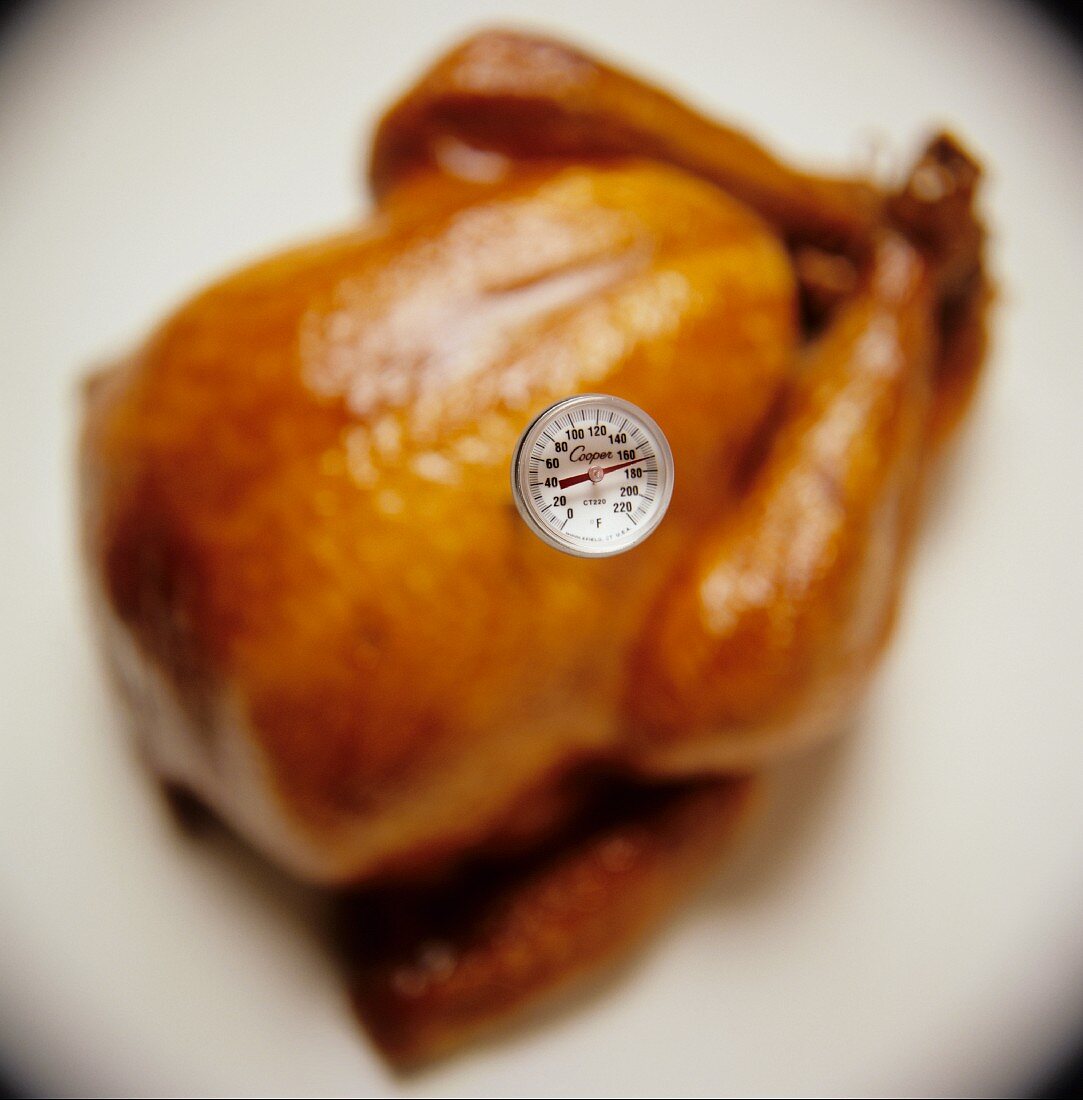 Roasted Turkey with a Meat Thermometer