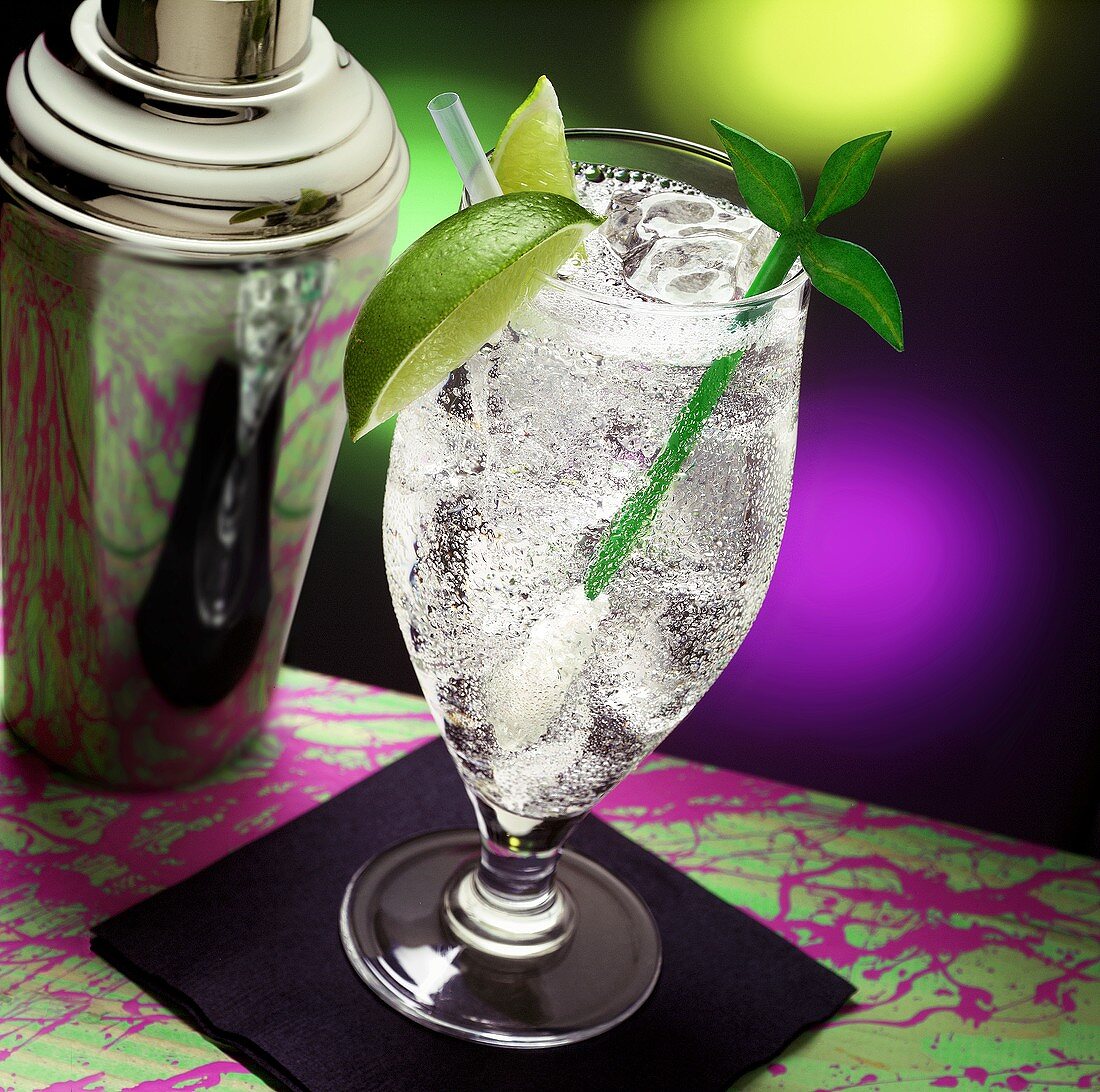 Mojito Cocktail