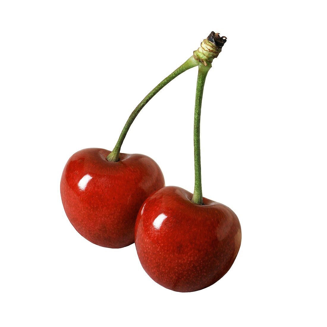 Two Maraschino Cherries