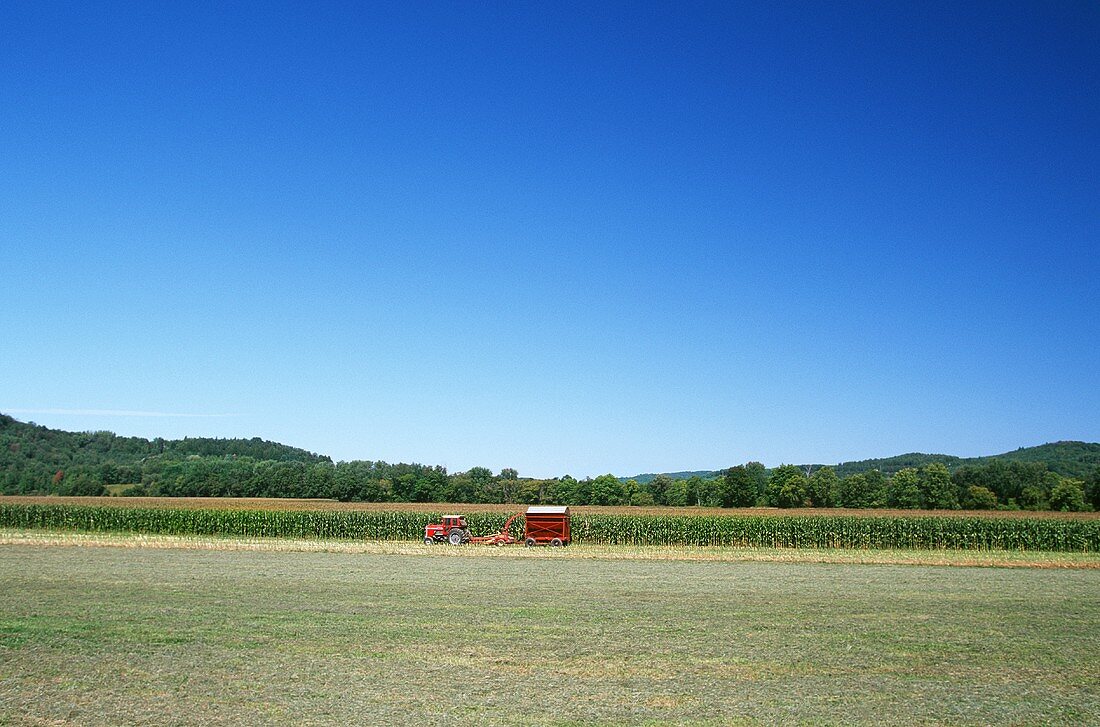 Traktor auf Maisfeld (Vermont, New England)