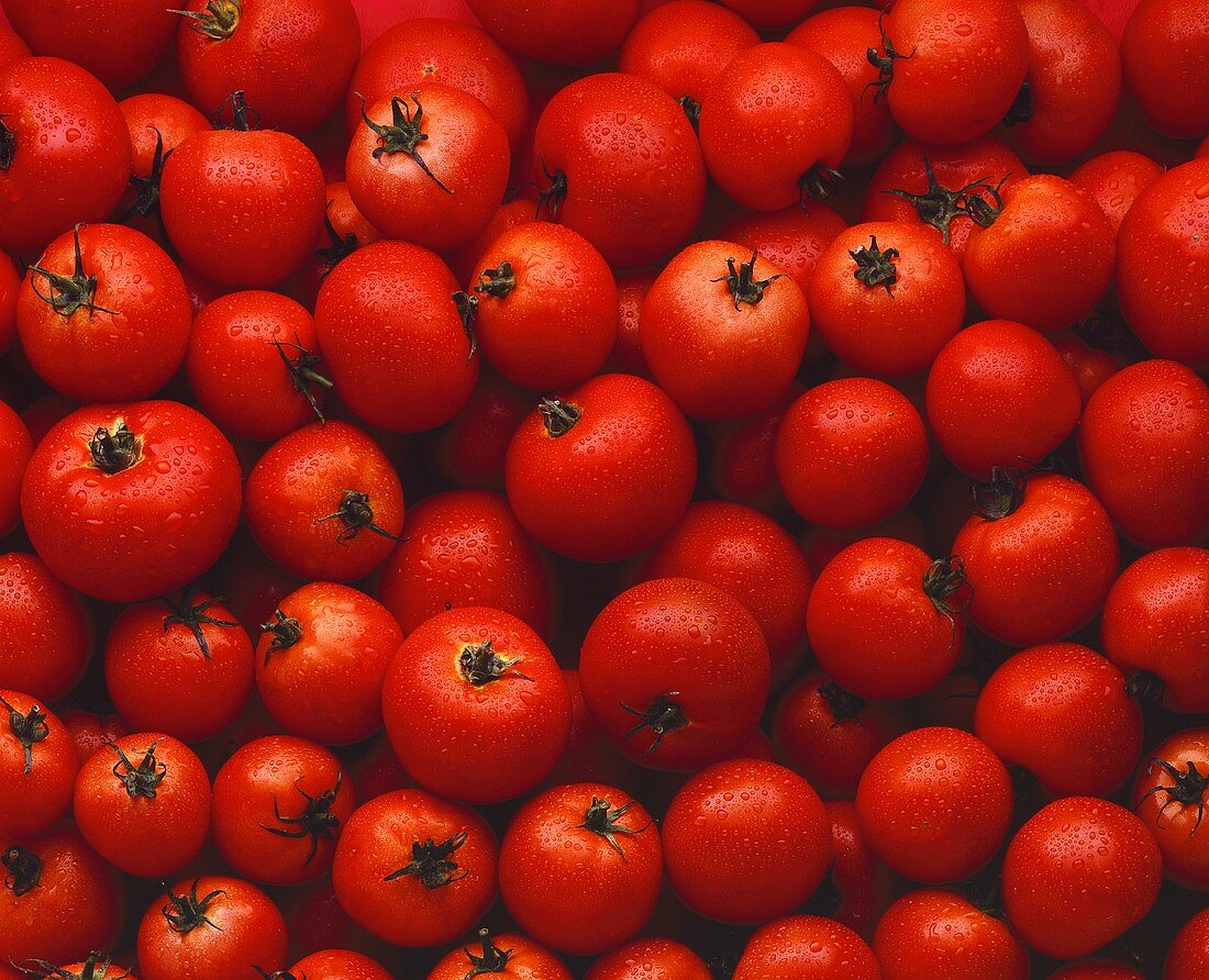 Tomatoes with drops of water