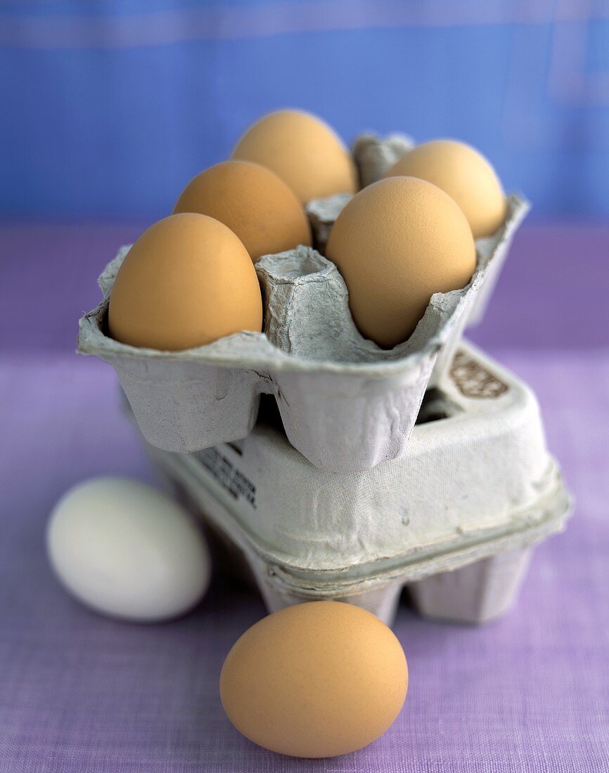 Eggs with Egg Carton
