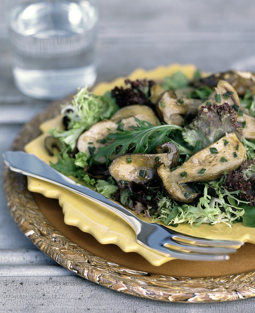 Gemischter Blattsalat mit gebratenen Steinpilzen; Glas Wasser