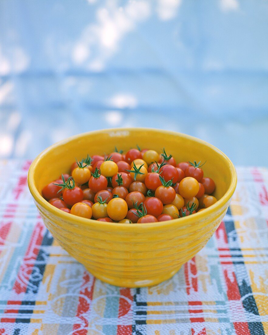 Colorful Tomatoes in Dish
