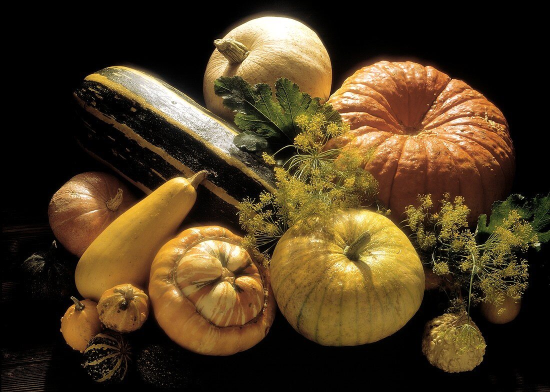 Assorted Colorful Squash Still Life
