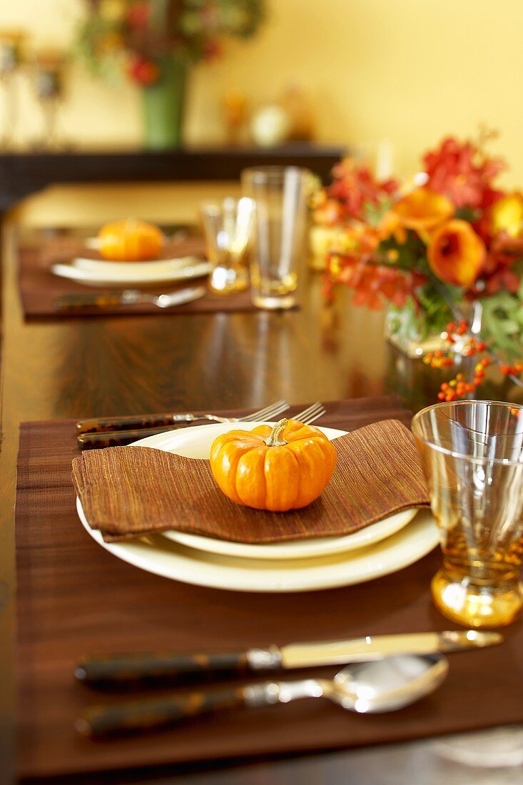 Table Set with Gourds for Thanksgiving Dinner