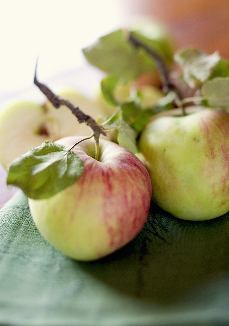 Fresh apples with stalks and leaves on tea towel