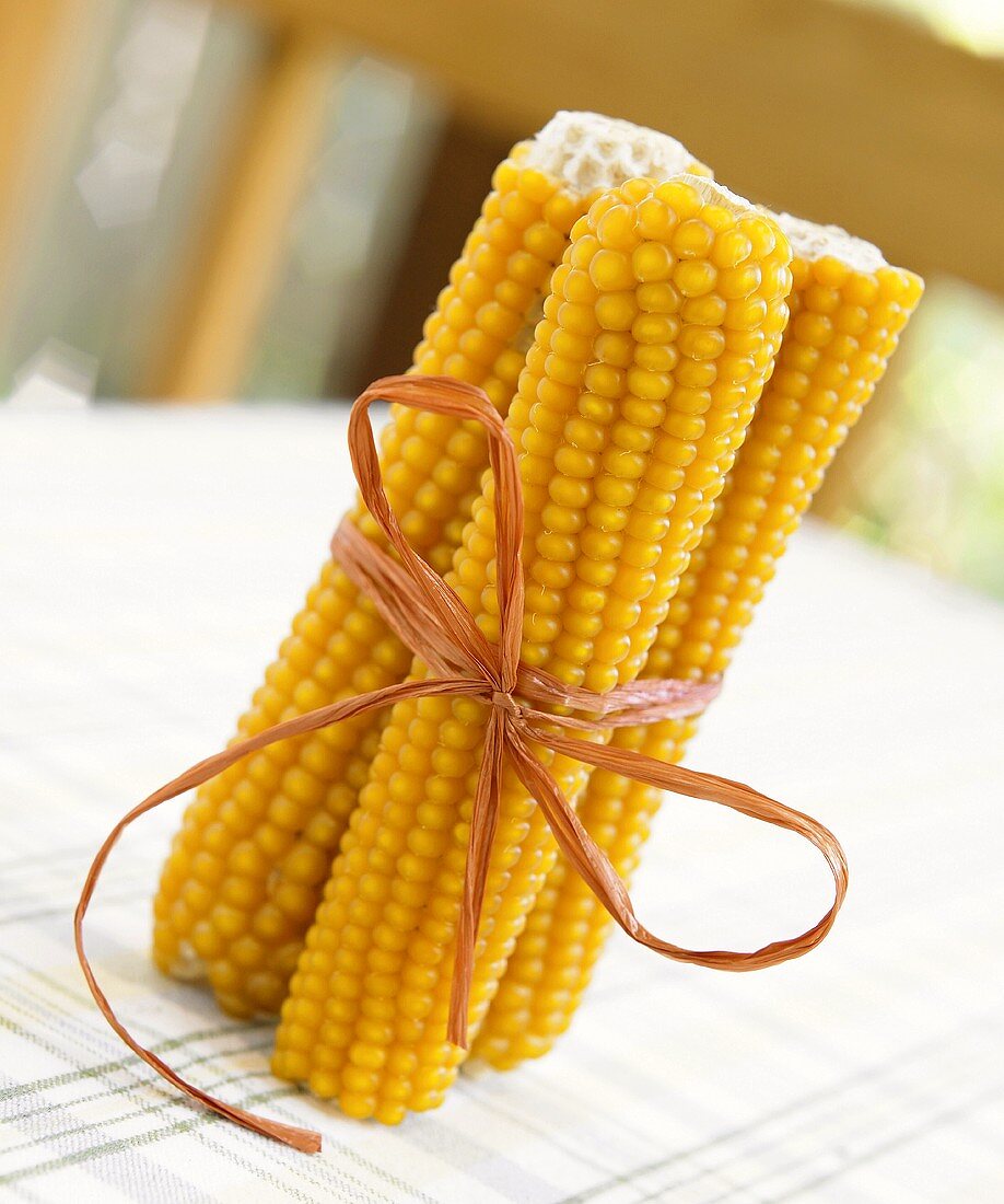 Bundle of Popping Corn on the Cob