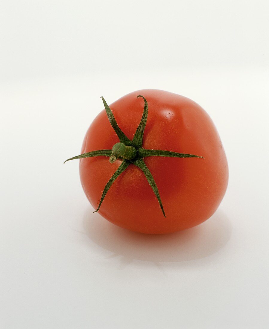 Eine Tomate auf weißem Untergrund