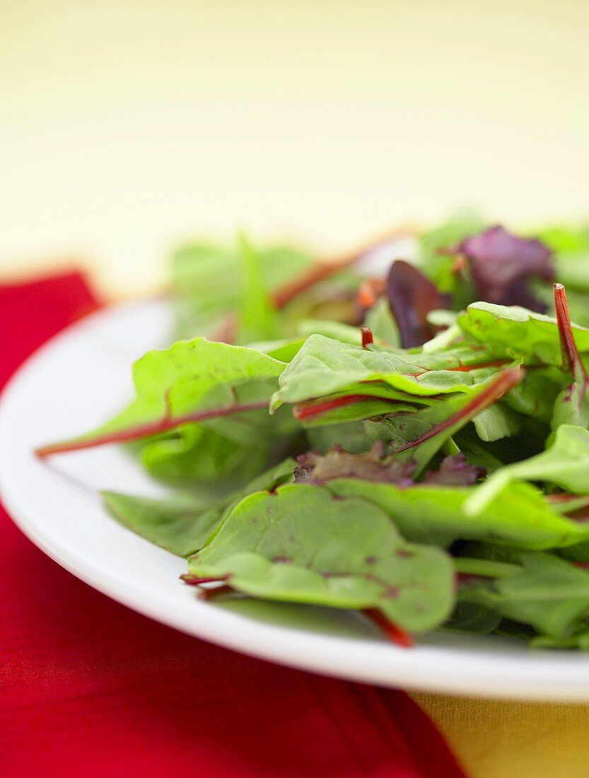 Baby Greens Piled on a Plate