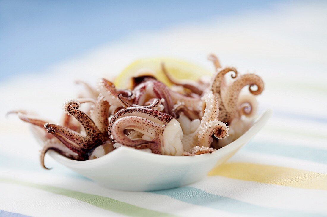 Bowl of Baby Squid Appetizer