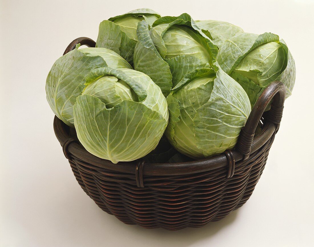 Heads of a Cabbage in a Basket