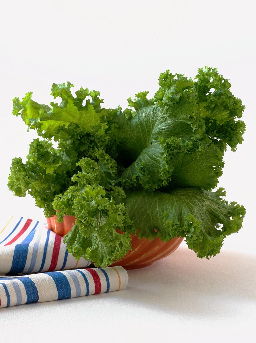 Mustard Greens in a Bowl