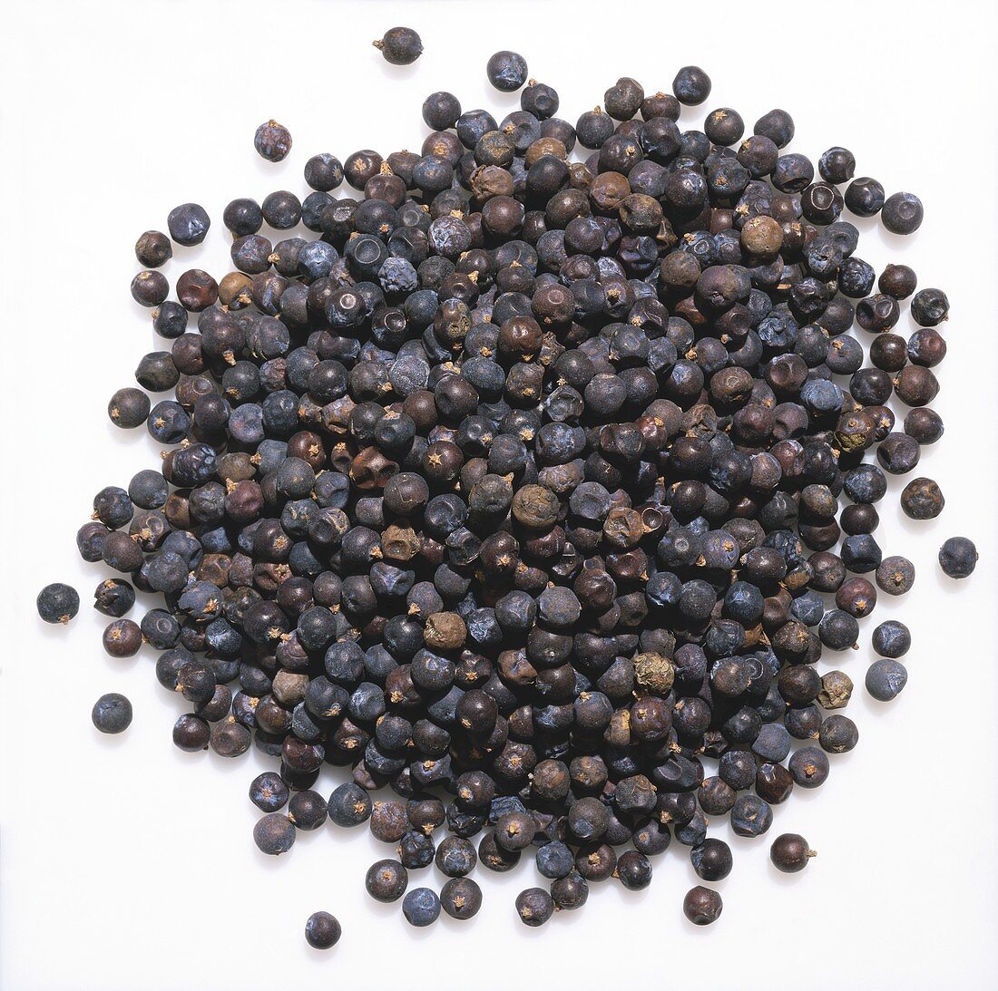 Pile of Juniper Berries on a White Background
