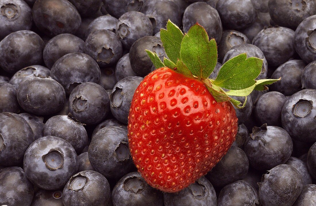 A Single Strawberry on Many Blueberries