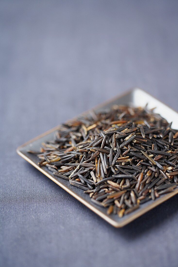 Wild Rice on a Small Dish