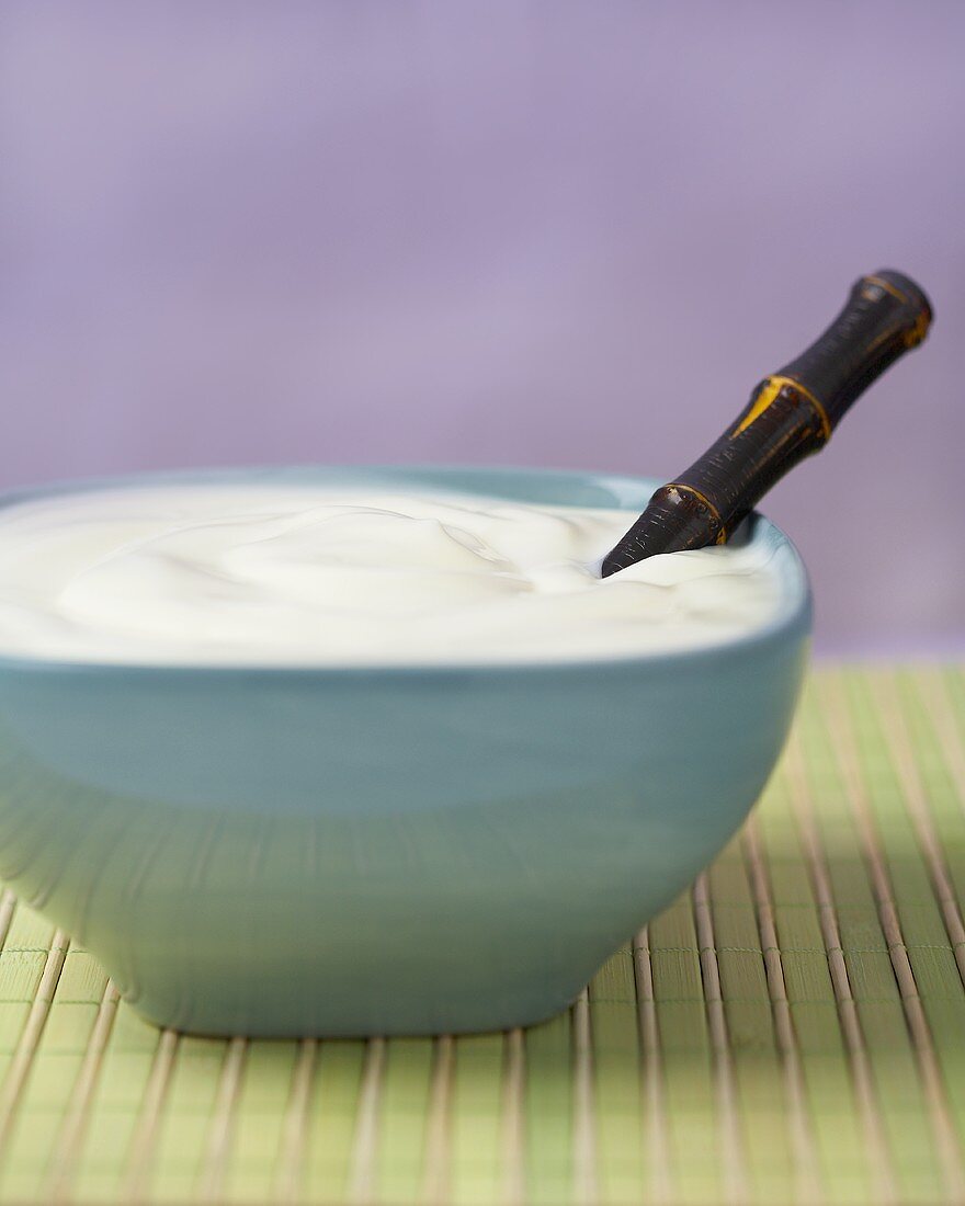 Bowl of Plain Yogurt with a Spoon