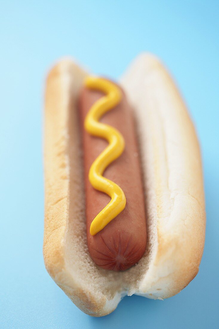 Hot Dog mit Senf auf blauem Untergrund