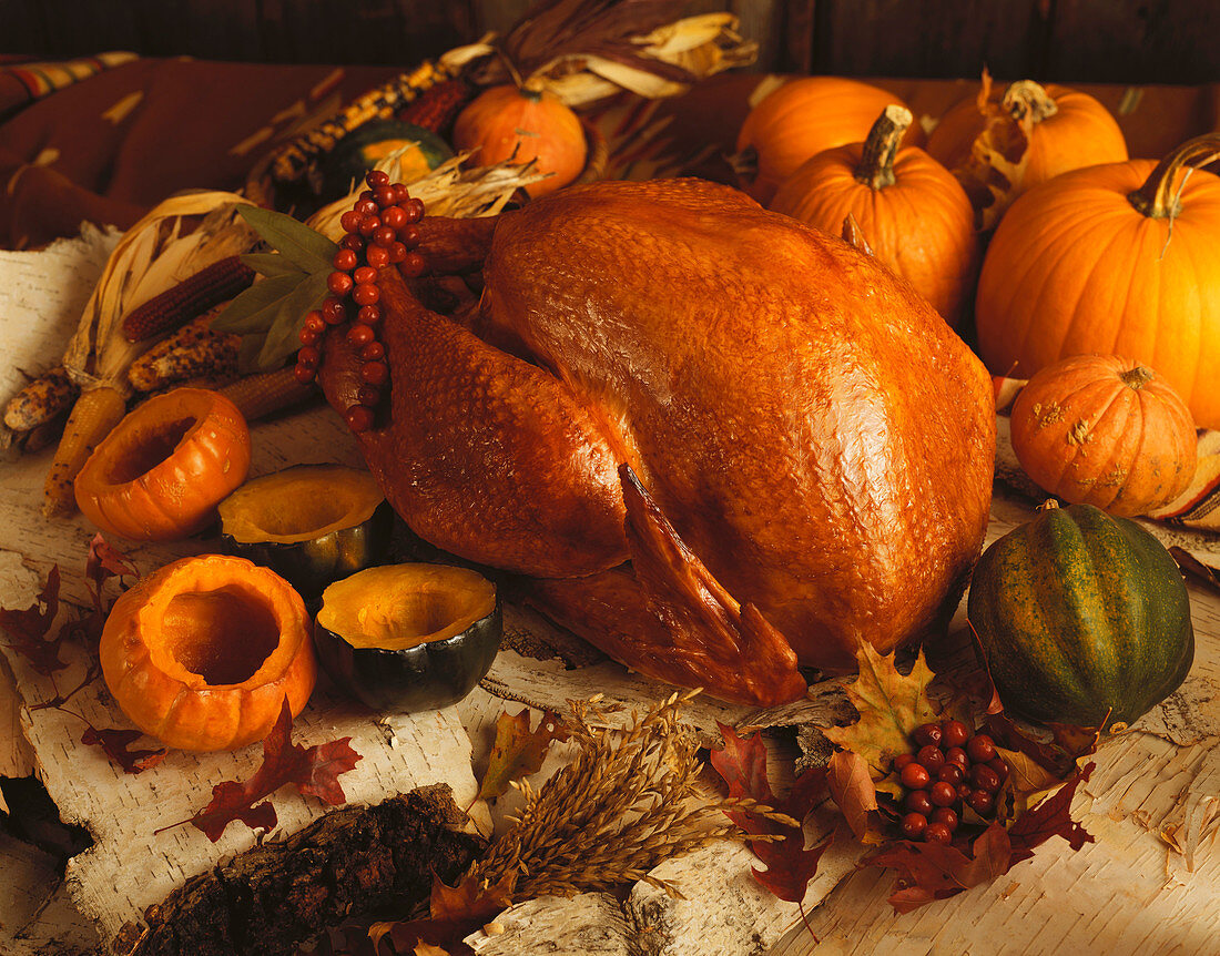 Roast Turkey and Squash with Autumn Leaves