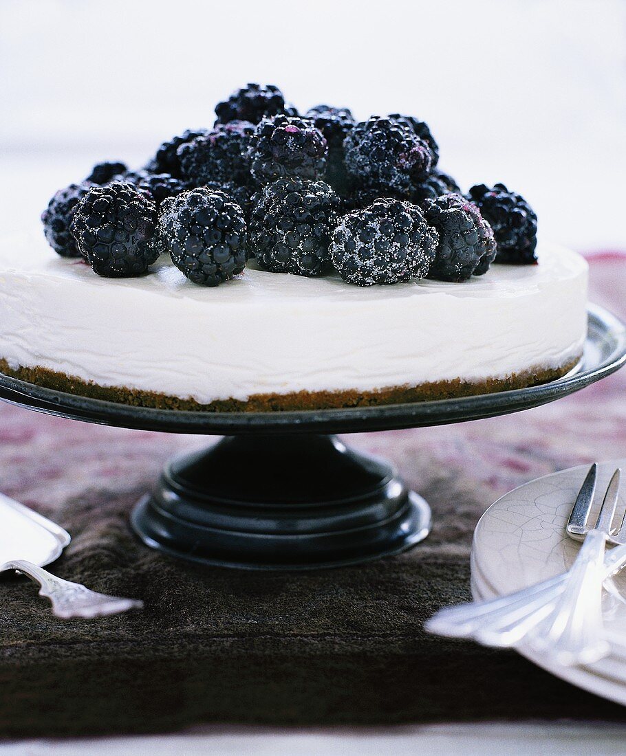 A Cheesecake Topped with Sugared Blackberries
