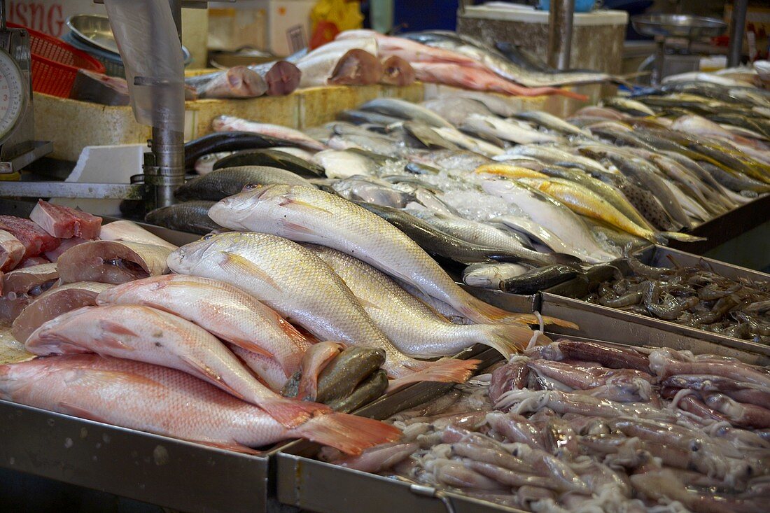 Fischmarkt in Asien
