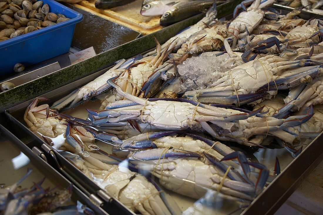 Frische Blaukrabben auf einem Fischmarkt in Asien