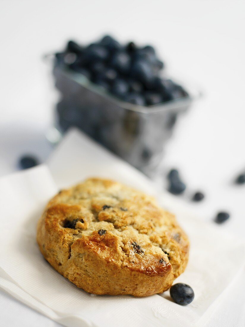 A Blueberry Scone with Fresh Blueberries