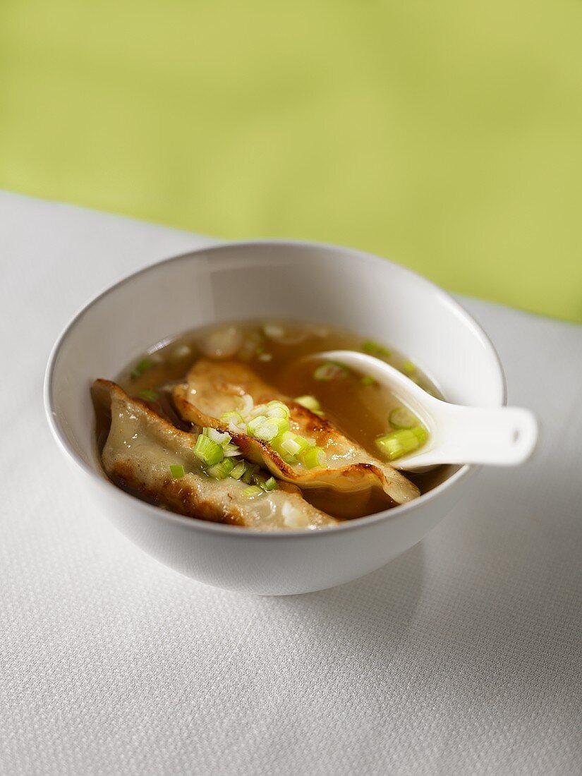 Chinese Dumpling Soup with Scallions