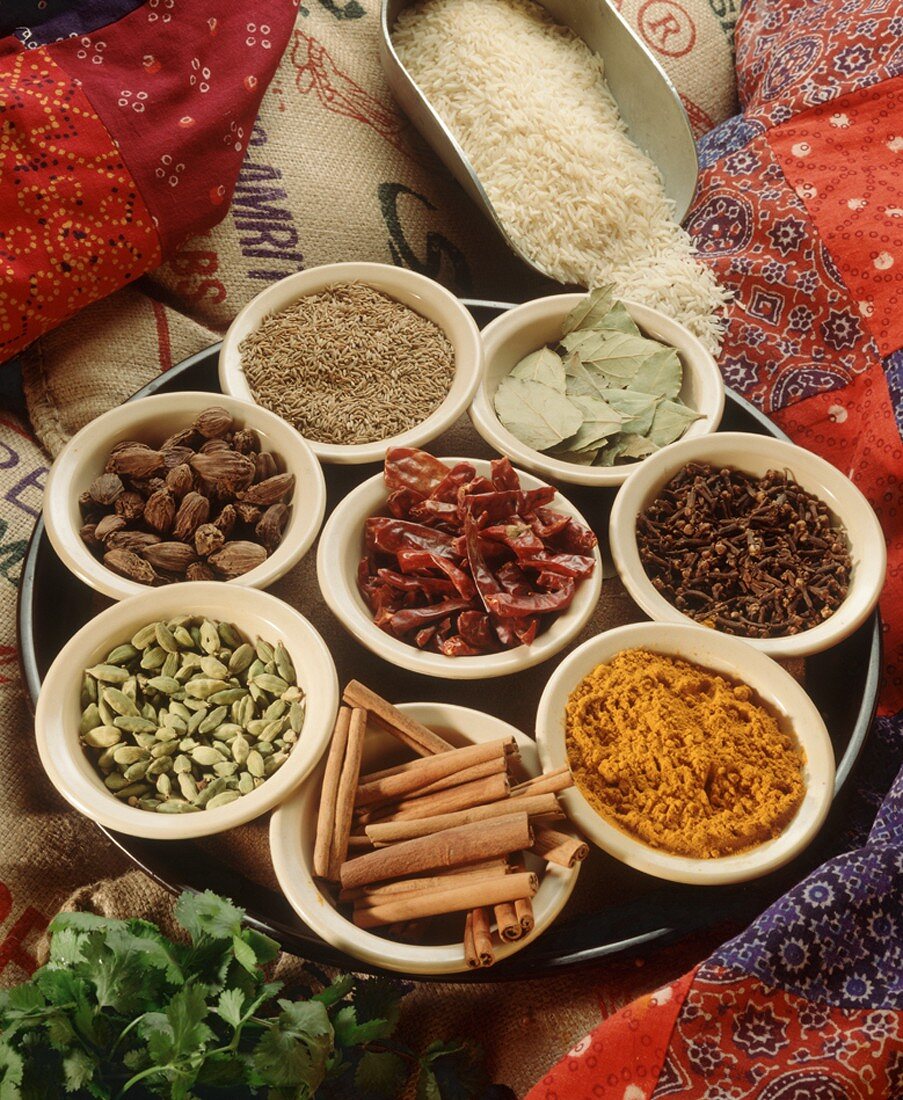 Tray of Assorted Indian Spices in Bowls with a Scoop of Rice