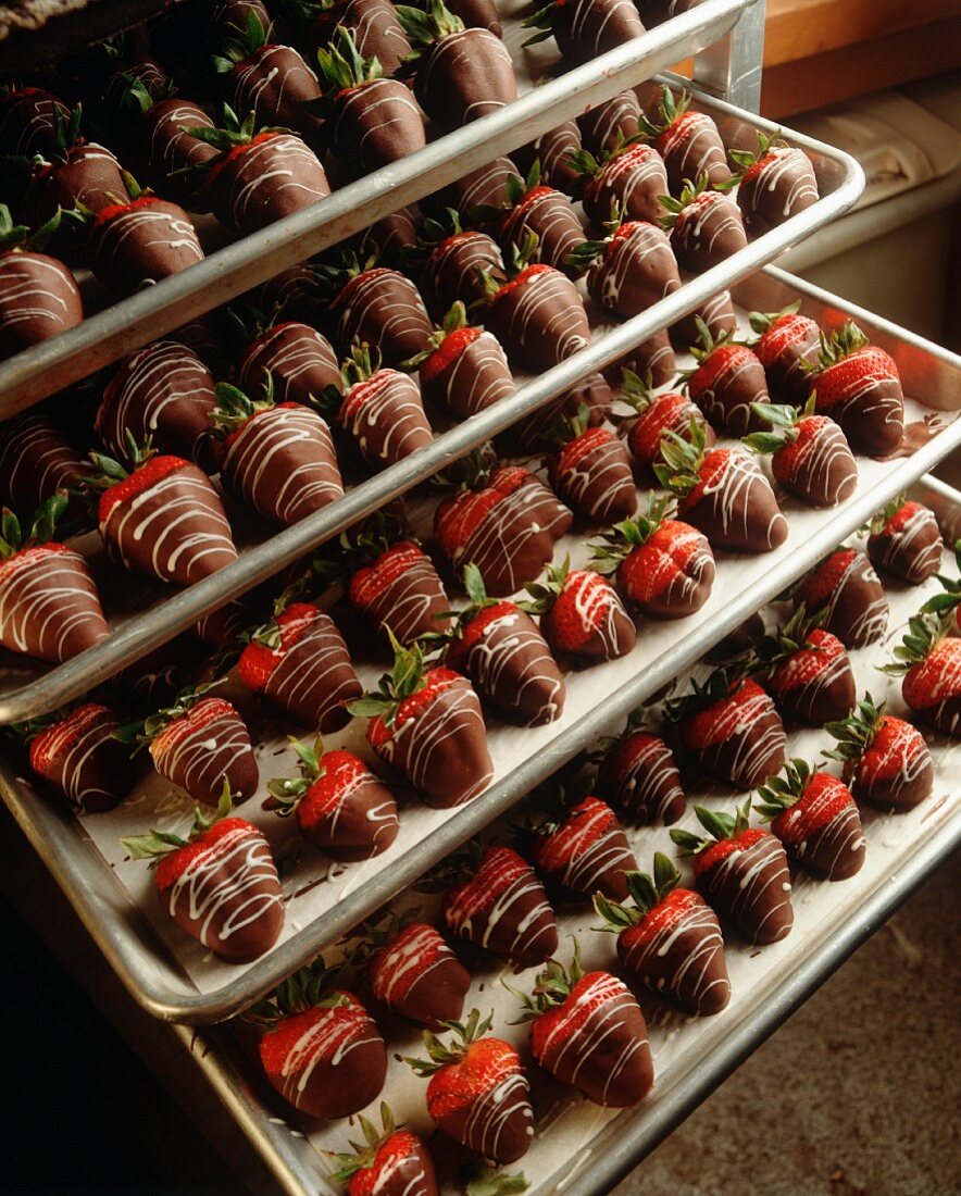 Many Trays of Chocolate Covered Strawberries
