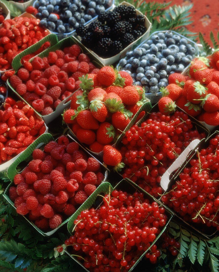 Containers of Many Assorted Berries