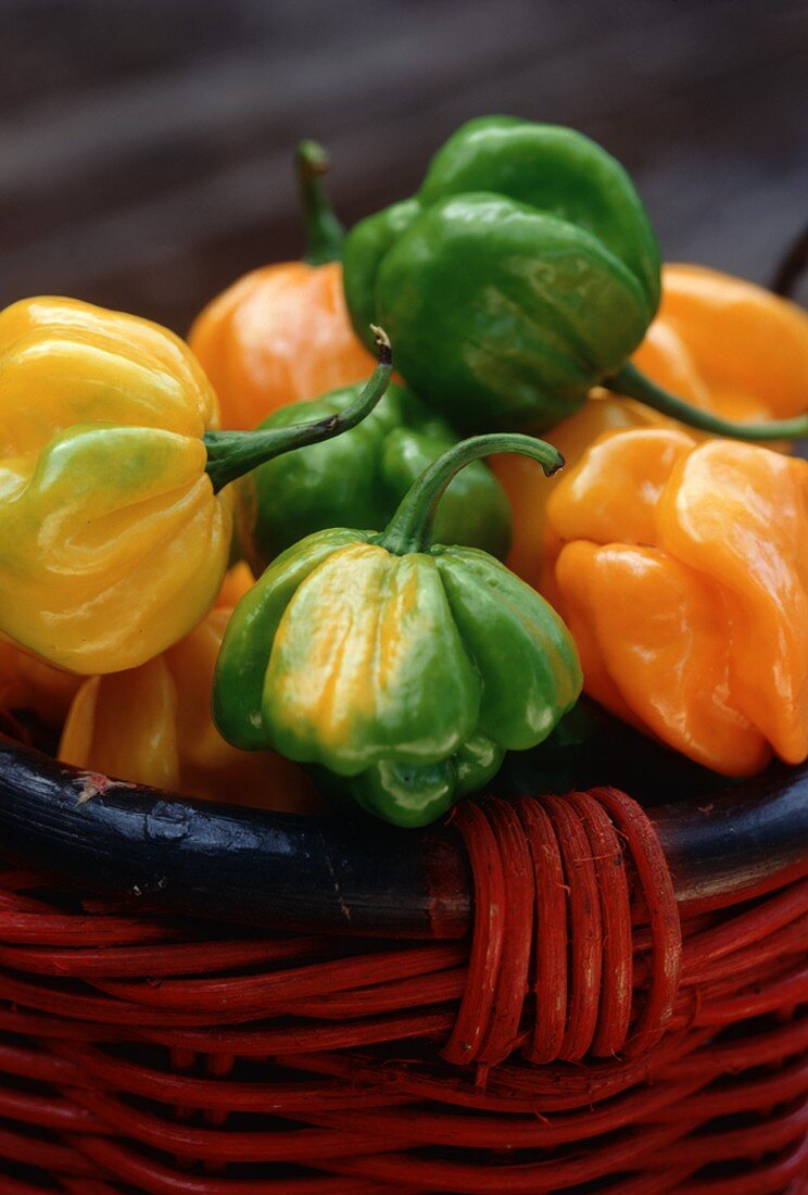 Basket of Dutch Bonnet Peppers, Close Up