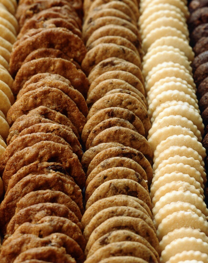 Verschiedene Plätzchen in Reihen (bildfüllend)