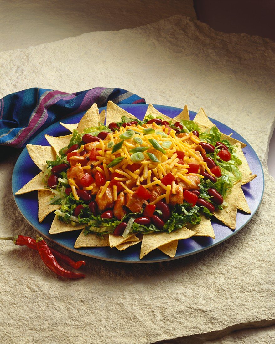 Hähnchensalat mit Käse auf Tortillachips (Mexiko)