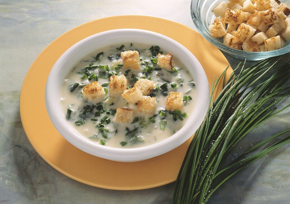 Kräutersuppe mit Croûtons