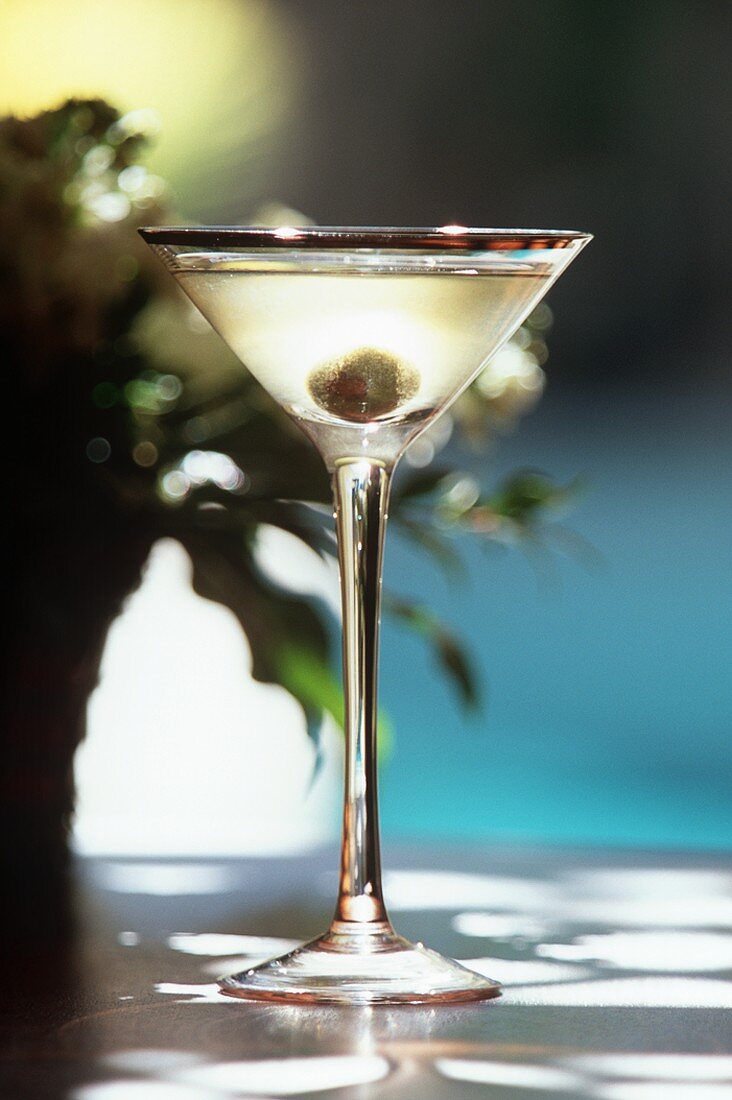 Dirty Martini in a Glass Outdoors
