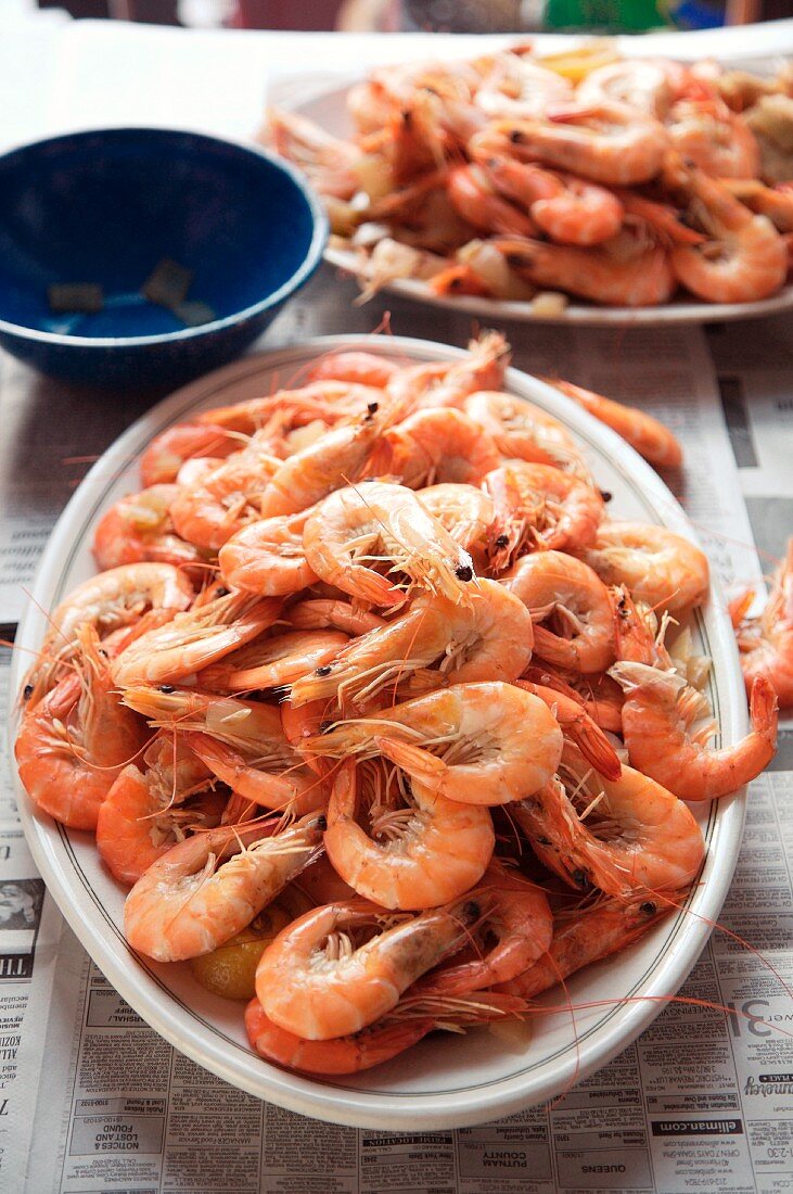 Large Platter of Whole, Unpeeled Boiled Shrimp