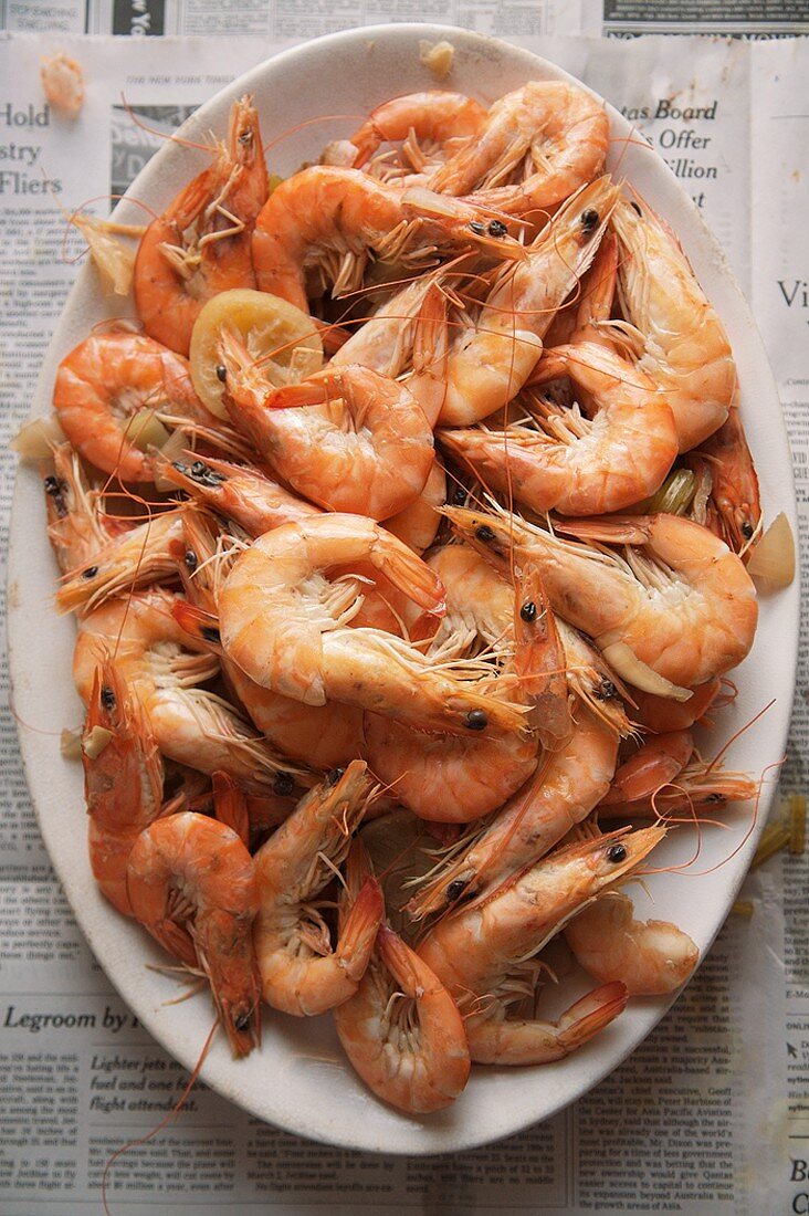 Large Platter of Boiled Whole Shrimp